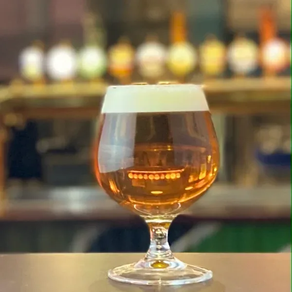Lagunitas Ipa 0,4 L